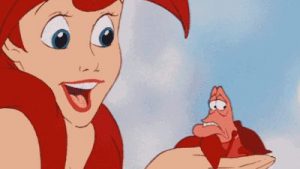 58861dc29e8e7_ariel