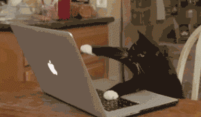 giphy-68