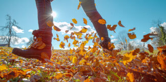 Fall Pick-Me-Ups for Hard Days