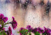 Tips for Making the Most Out of a Rainy Spring Day